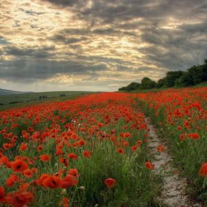 chemin