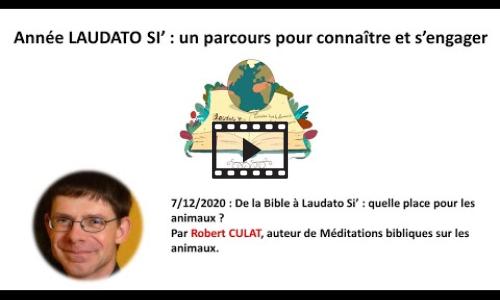 Preview image for the video embed "De la Bible à Laudato Si’ : quelle place pour les animaux ? - Robert CULAT".